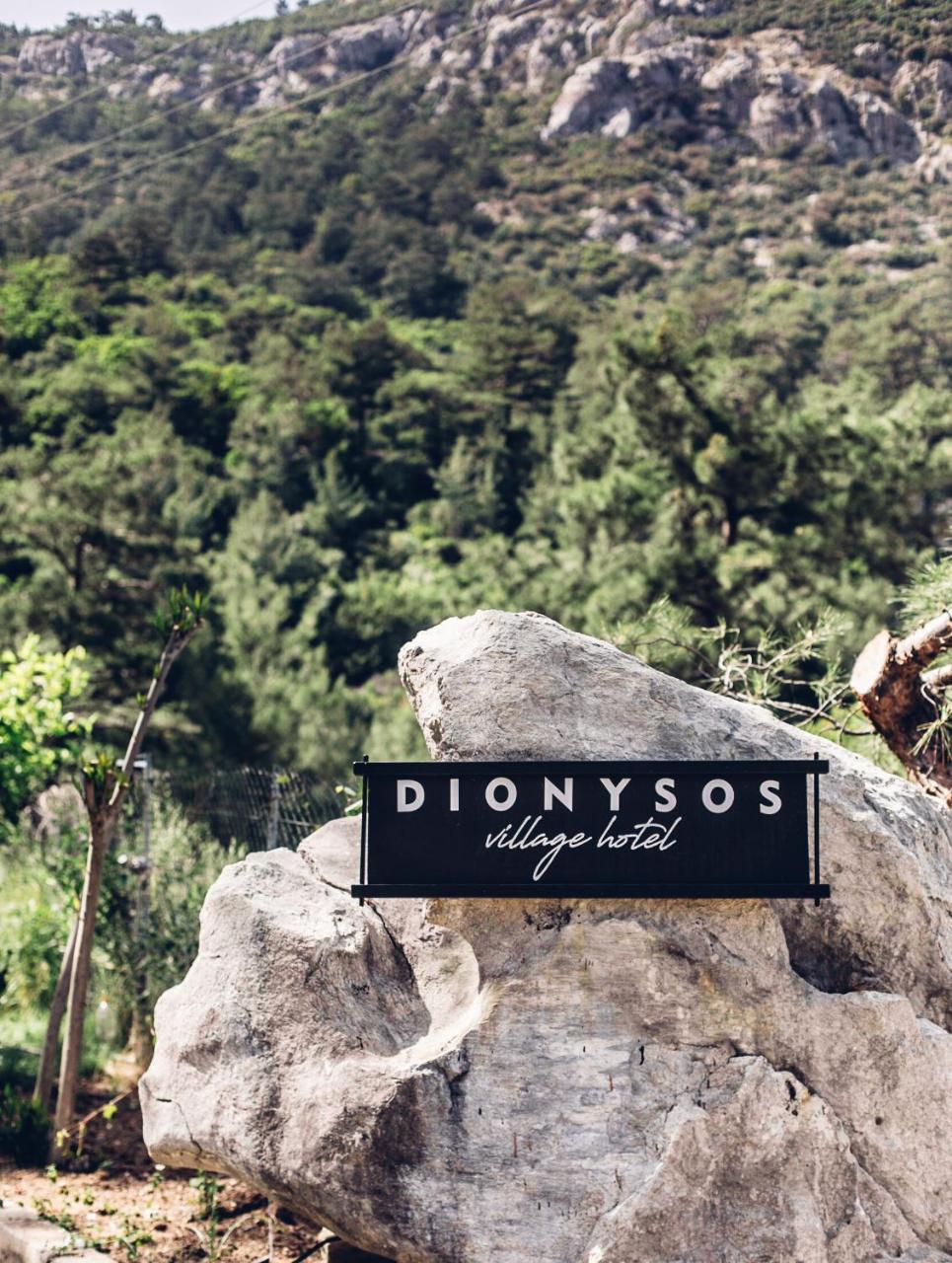 Dionysos Village Hotel Marmaris Turunç Extérieur photo